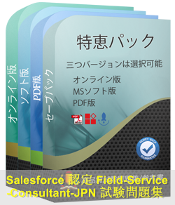 Field-Service-Consultant日本語